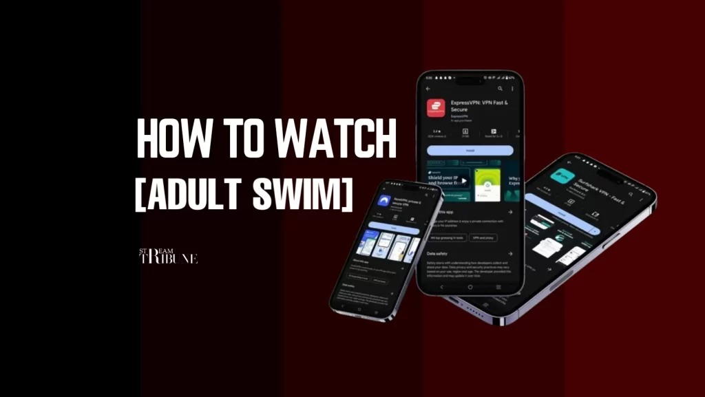 How To Watch Adult Swim Outside USA